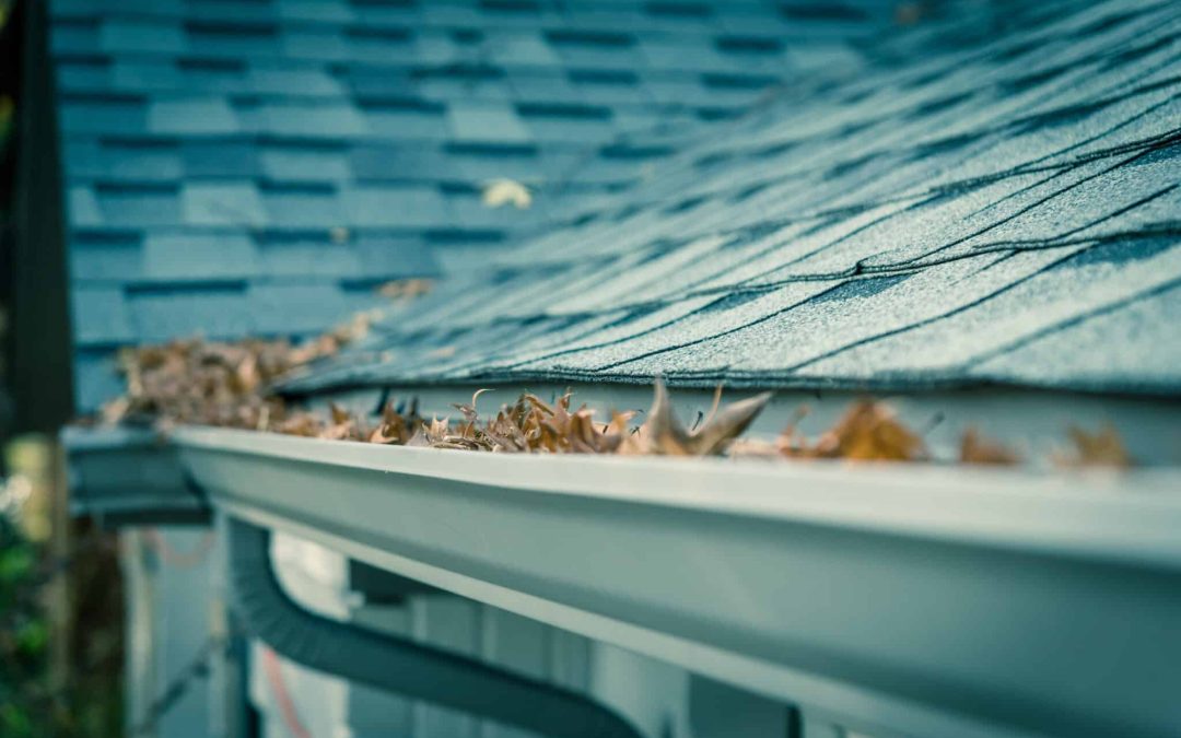 Why is important to clean your gutters?